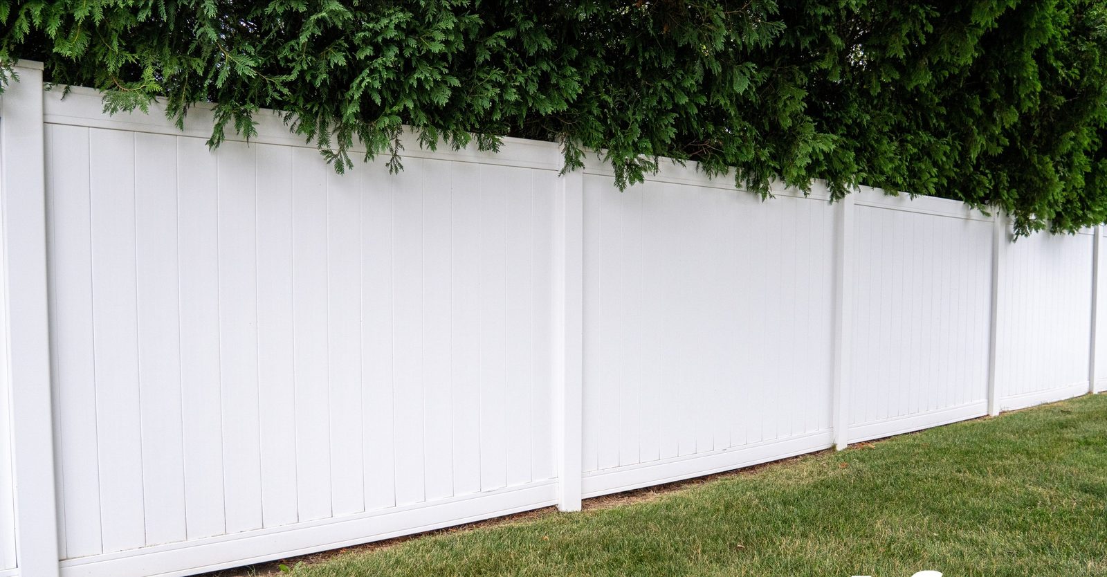 After: Green mildew removed from a vinyl privacy fence