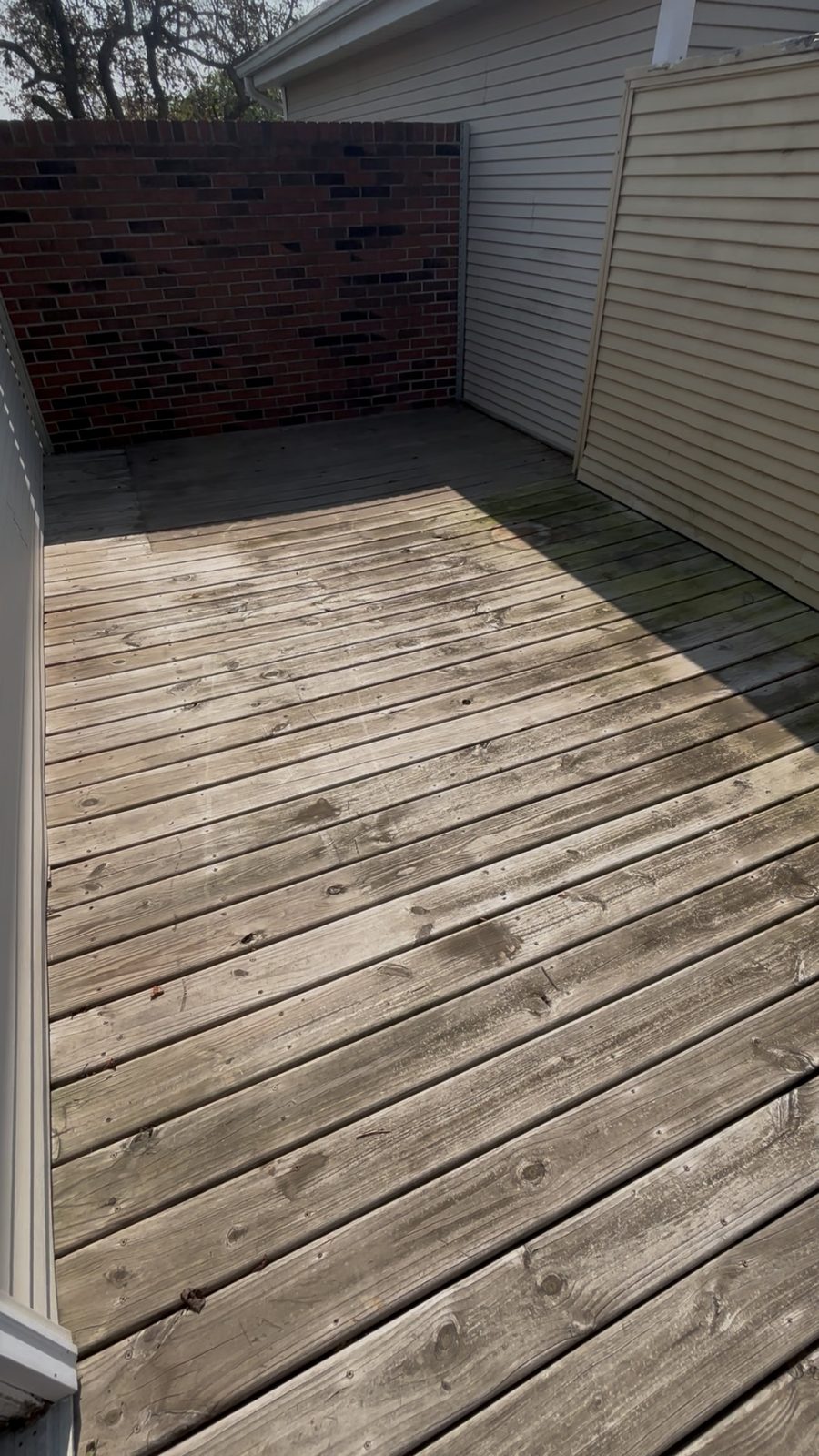Before: Deck Cleaning